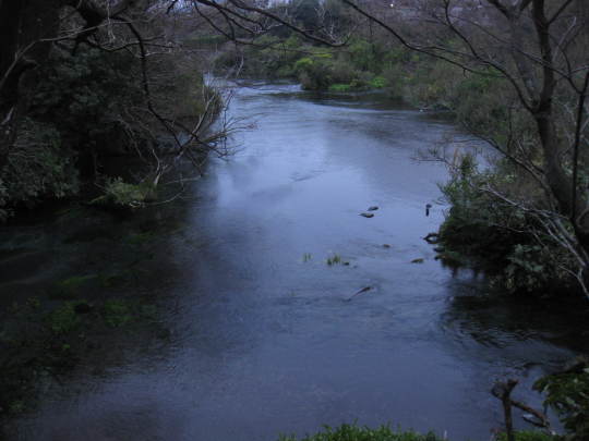 f0010195_23160205.jpg