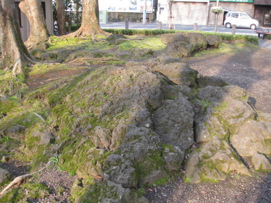 f0010195_23192988.jpg
