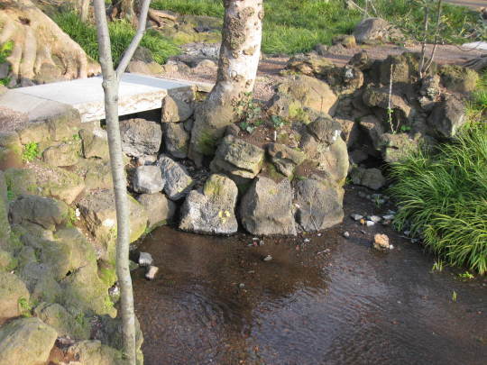 f0010195_23193377.jpg