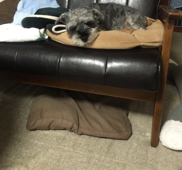 b0188998_13072243.jpeg
