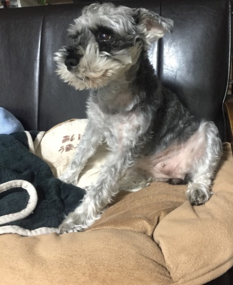 b0188998_13074242.jpeg
