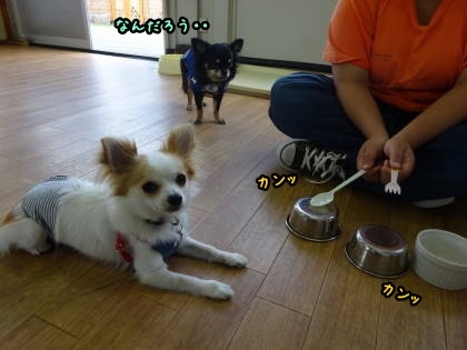 a0338800_13524087.jpg