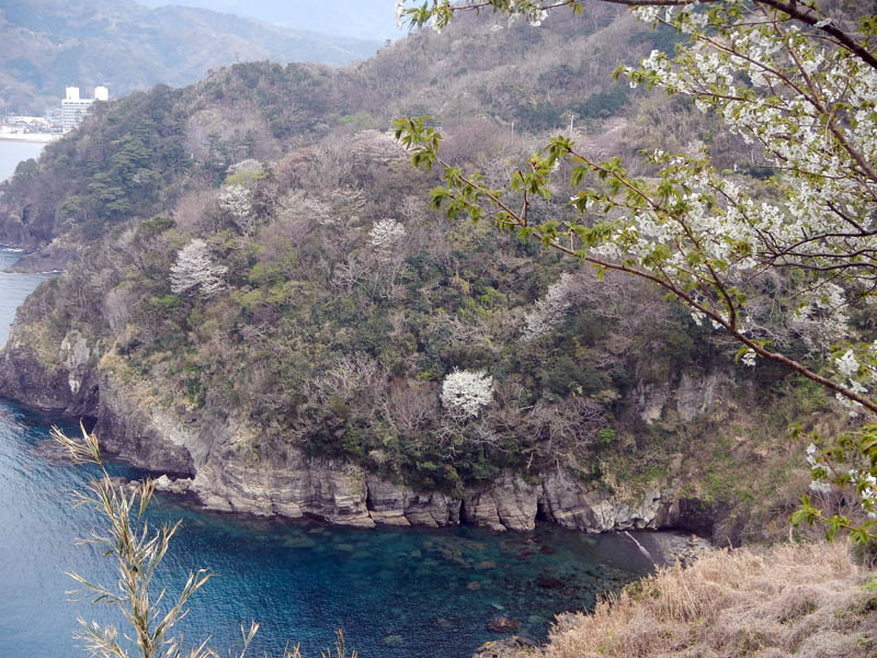 d0161702_18105560.jpg