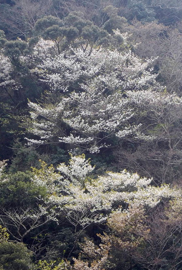 d0161702_18113076.jpg