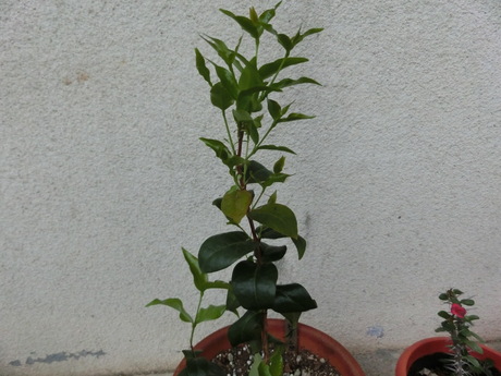 a0203003_19123859.jpg