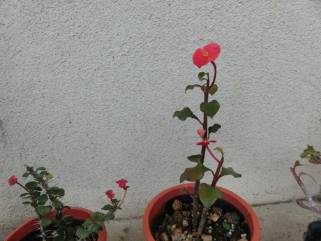 a0203003_19141177.jpg