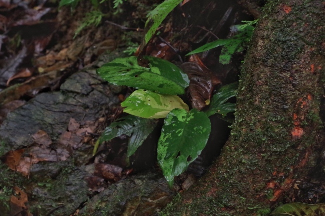 e0218504_02330133.jpg