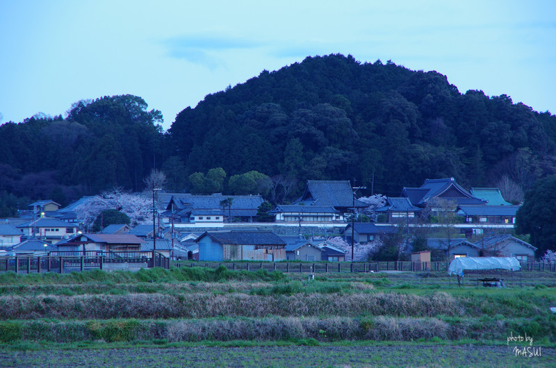 d0342307_23284924.jpg