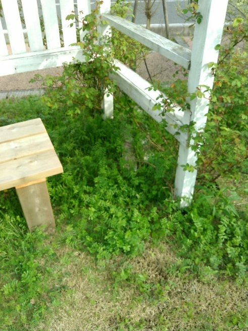 f0113108_16562375.jpg