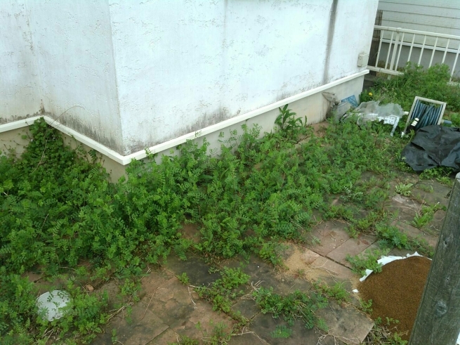 f0113108_16563024.jpg