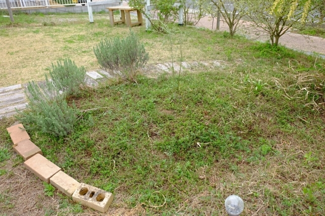 f0113108_16563987.jpg