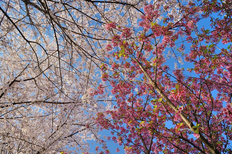 f0032011_18245993.jpg