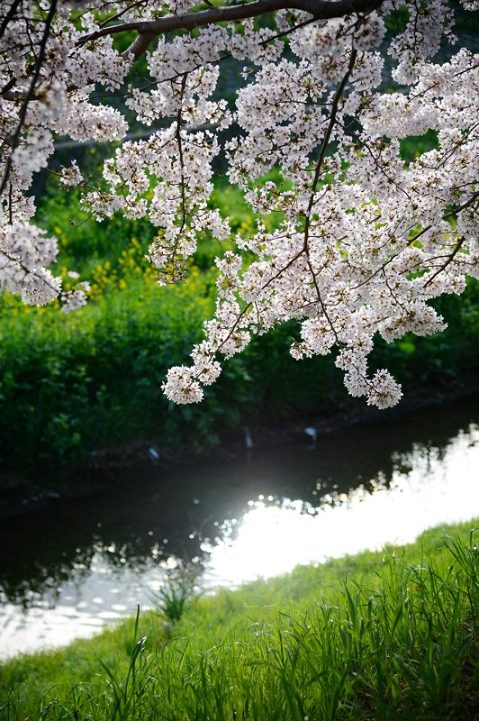 f0032011_1825858.jpg
