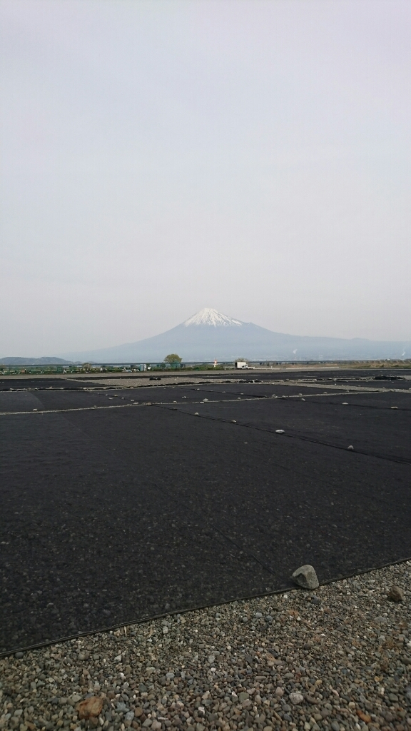 e0058913_09464088.jpg
