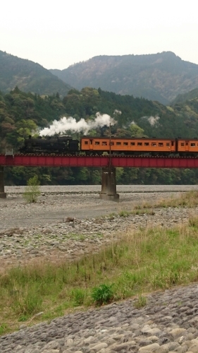 e0058913_15460892.jpg