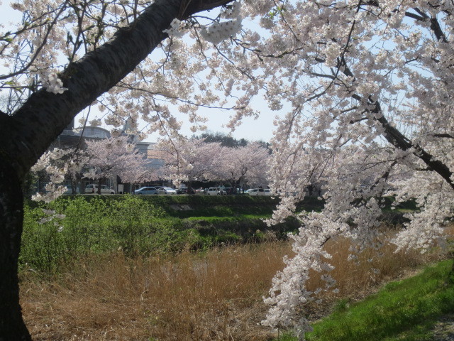f0248616_20192414.jpg