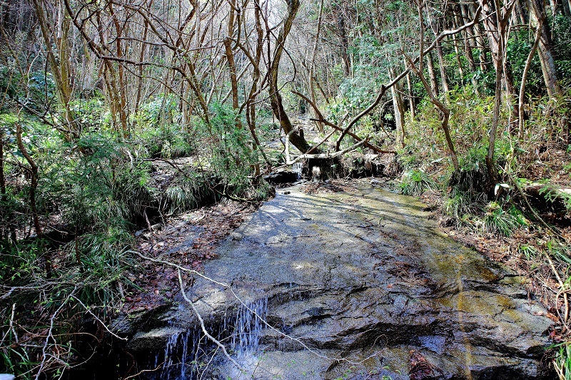 e0341417_18000732.jpg
