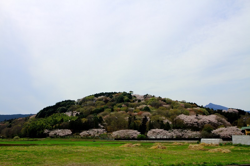 e0341417_18063619.jpg