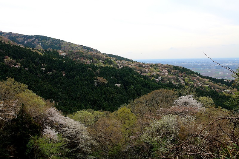 e0341417_18082911.jpg