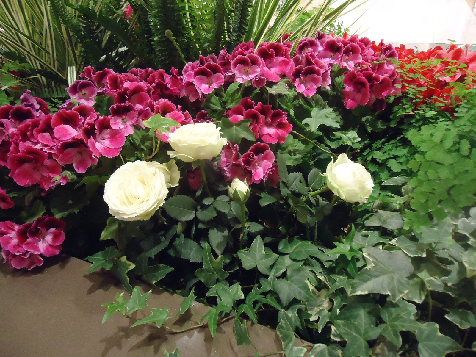 b0248920_11265150.jpg