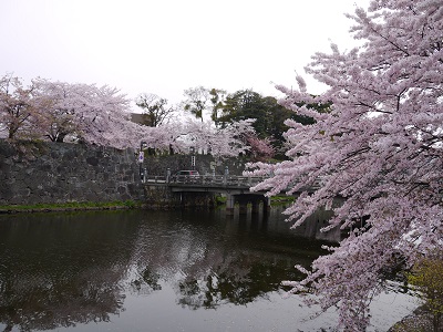 c0227720_23175422.jpg
