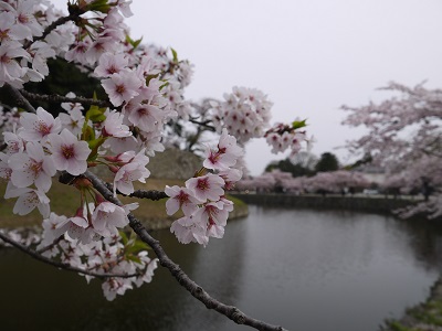 c0227720_23185595.jpg