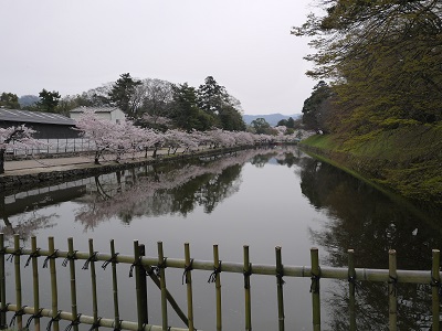 c0227720_2326324.jpg