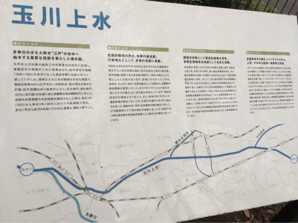 c0156021_21022891.jpg