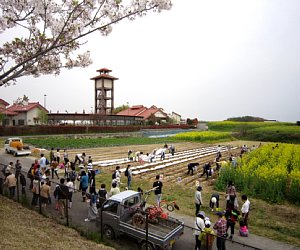 d0120421_17314160.jpg