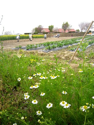 d0120421_17323891.jpg