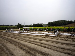 d0120421_17334560.jpg