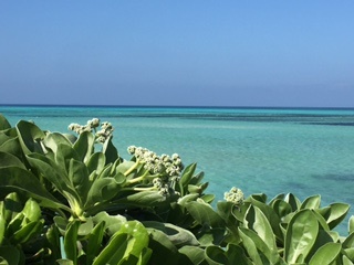 c0051529_14225282.jpg