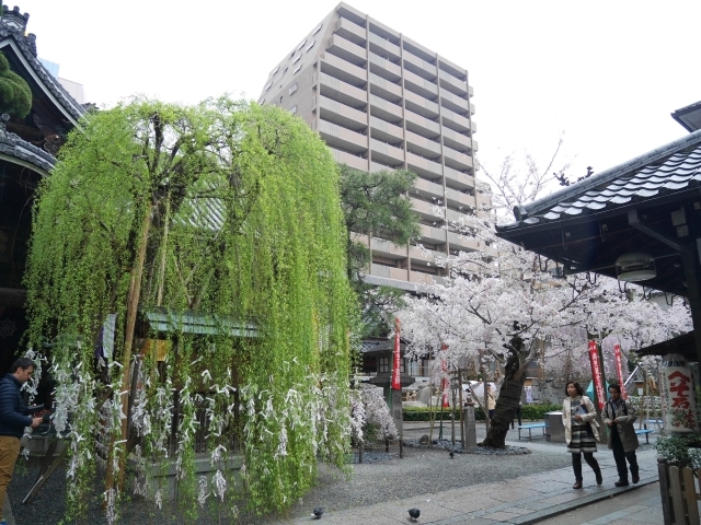 f0231829_01294712.jpg