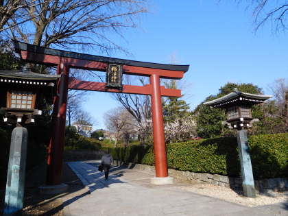 f0080631_1021356.jpg
