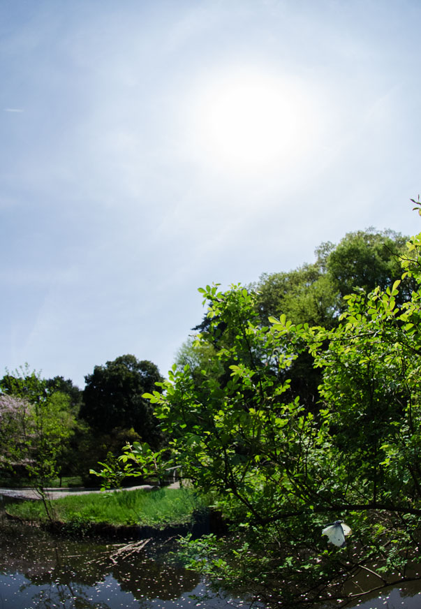 a0126632_1475727.jpg