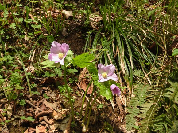 f0118332_22323453.jpg