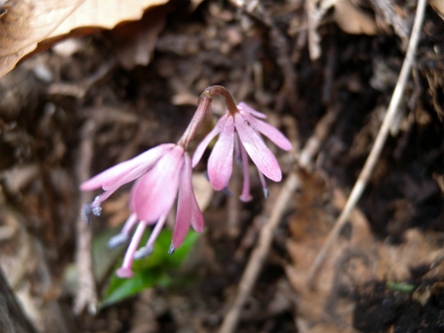 e0272335_20102257.jpg
