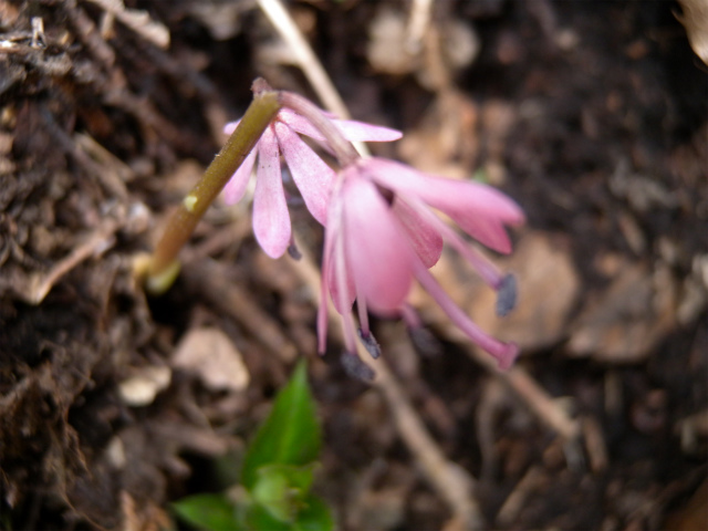 e0272335_20113775.jpg