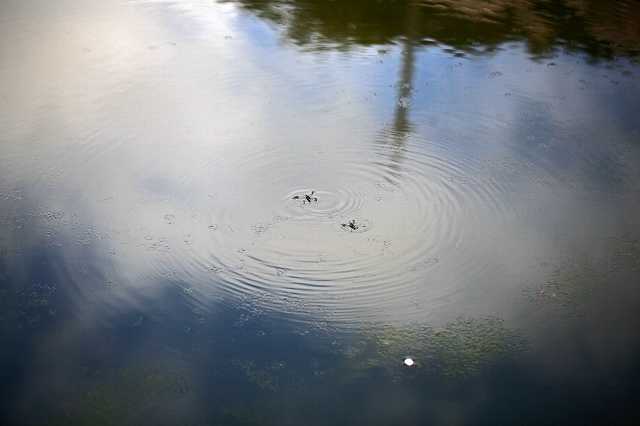 a0242438_1951672.jpg