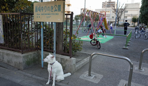a0117039_20104925.jpg