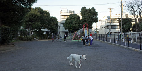a0117039_20111441.jpg