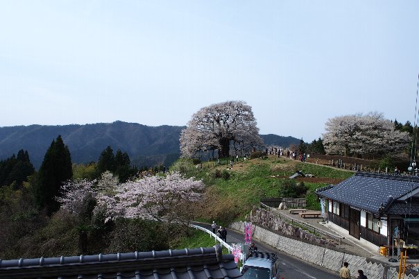 b0149340_16363695.jpg