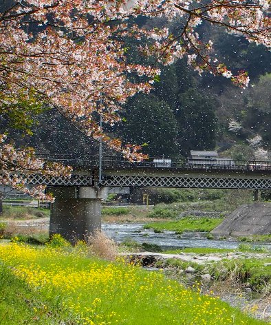 b0149340_2043848.jpg
