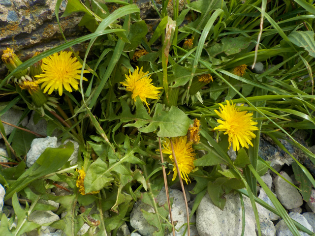 a0087341_20203456.jpg