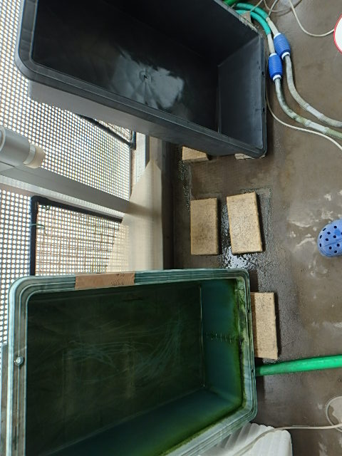 f0334143_101123.jpg