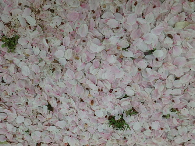 f0334143_1083139.jpg