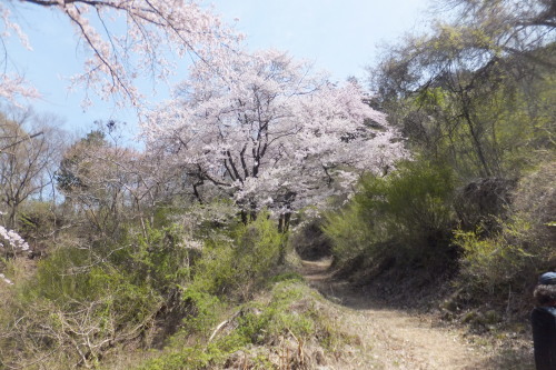e0041047_05324828.jpg