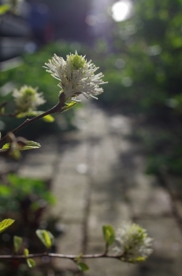 b0169848_20163110.jpg
