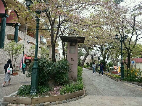 a0331562_19362263.jpg