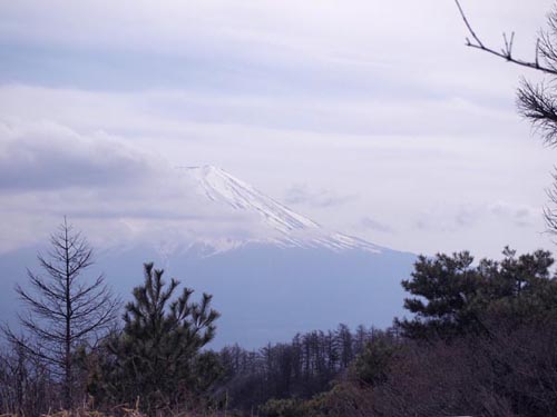 c0011862_2128627.jpg